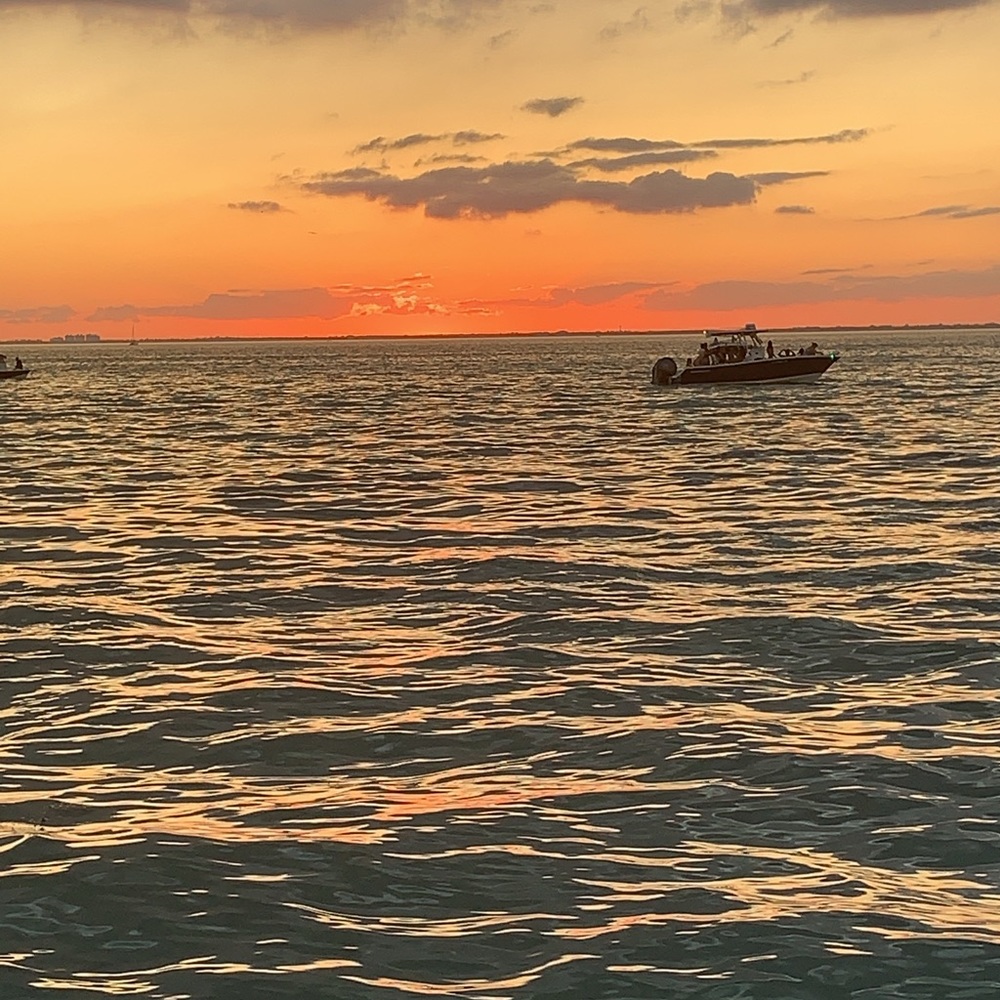 Meet your Posher, Adelaide